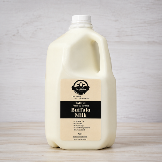 [Gallon Jug] Buffalo Milk